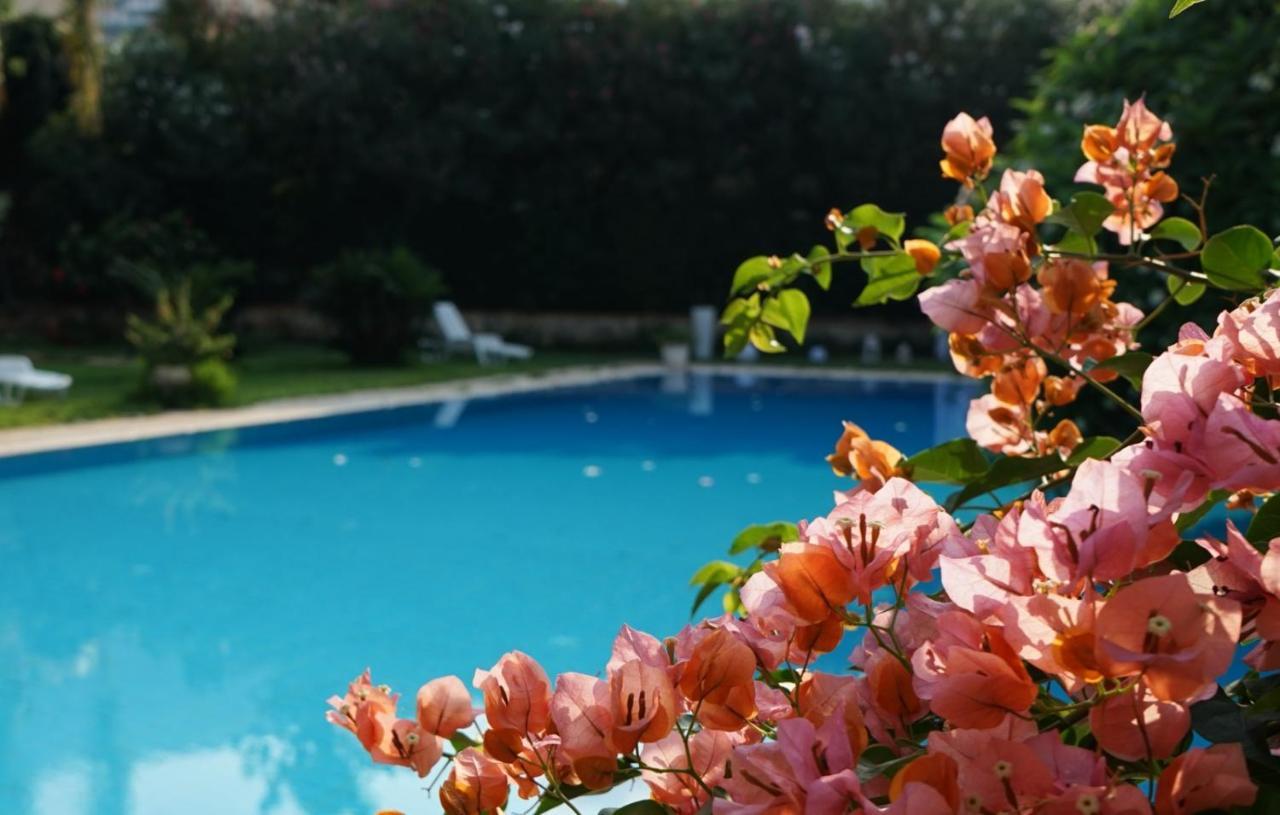 Villa Megna - Green Paradise B&B Palermo Eksteriør billede
