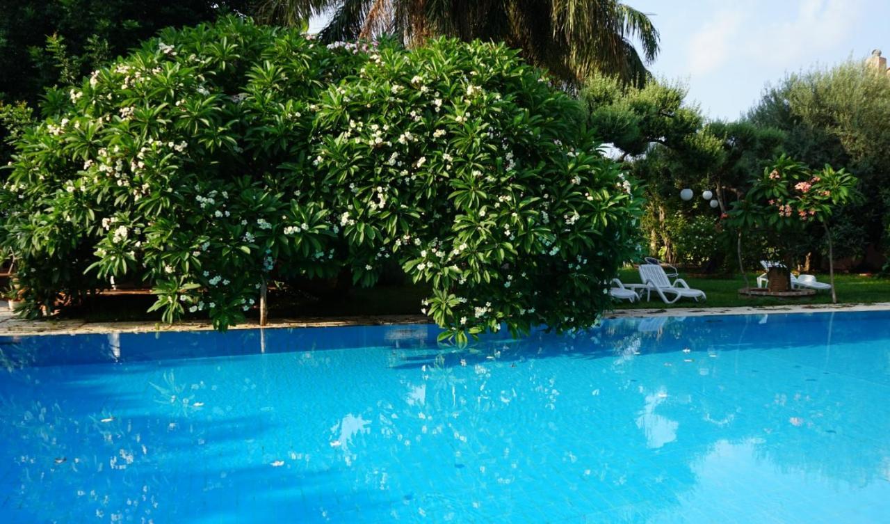 Villa Megna - Green Paradise B&B Palermo Eksteriør billede